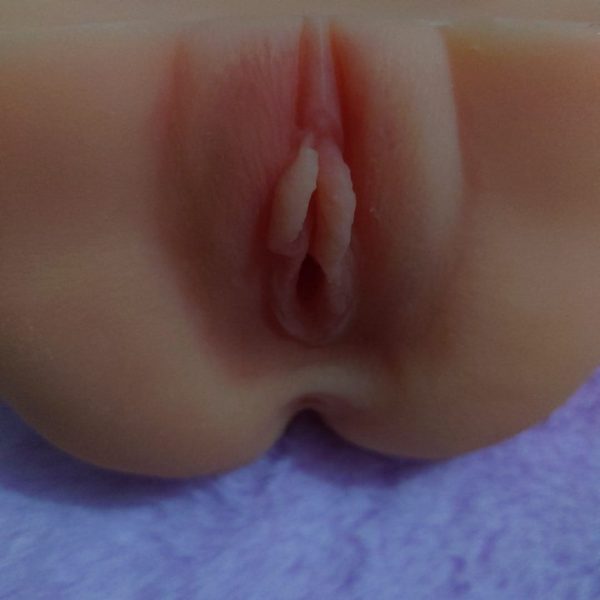 DL (1)